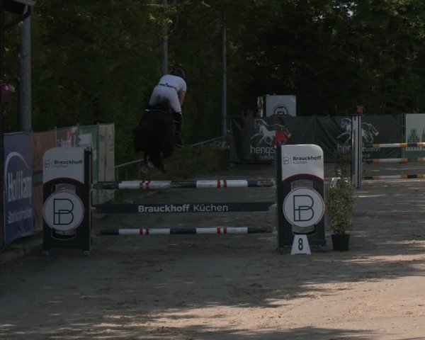 Reitturnier Münster-Albachten 2025