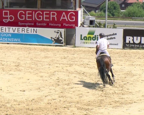 Reitturnier Wädenswil 2025