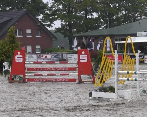 Coesfelder Reitertage 2014