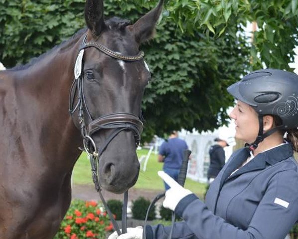 broodmare Evita (Westphalian, 2013, from Ehrenpreis)