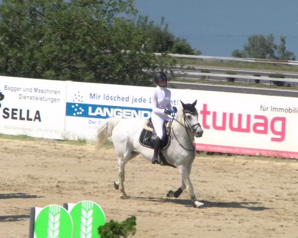 Reitturnier Wädenswil 2025