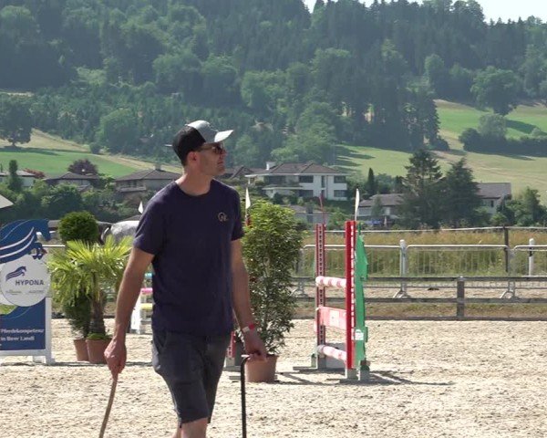 Reitturnier Hitzkirch 2025