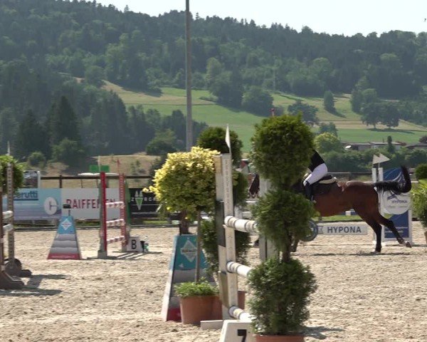 Reitturnier Hitzkirch 2025