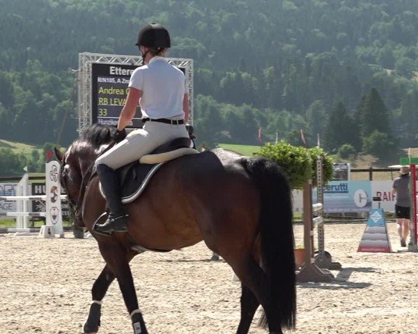 Reitturnier Hitzkirch 2025