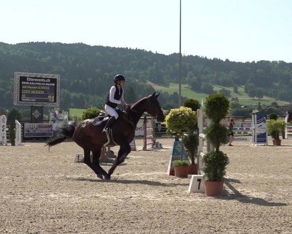 Reitturnier Hitzkirch 2025