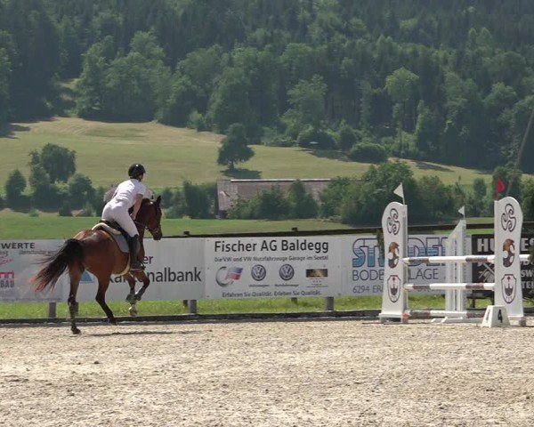 Reitturnier Hitzkirch 2025