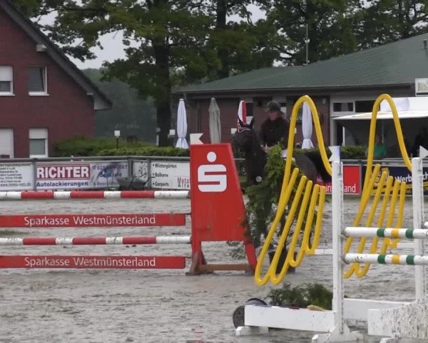 Coesfelder Reitertage 2014