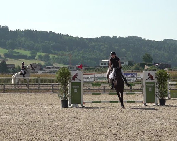 Reitturnier Hitzkirch 2025