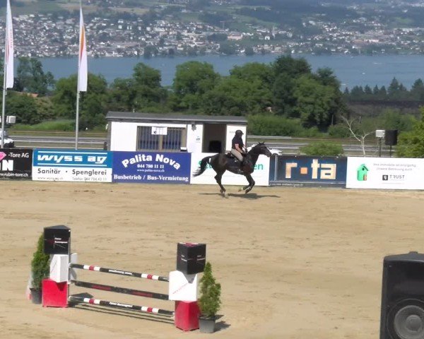 Reitturnier Wädenswil 2025