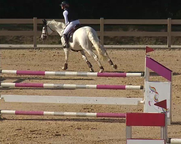 Reitturnier Tiefenhof/Opf. 2025