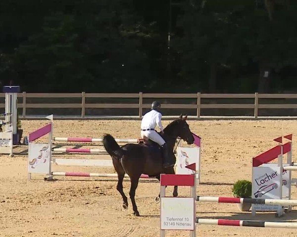 Reitturnier Tiefenhof/Opf. 2025