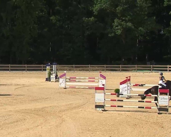 Reitturnier Tiefenhof/Opf. 2025