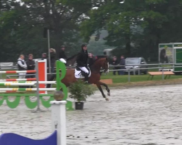 Coesfelder Reitertage 2014