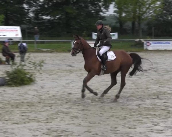 Coesfelder Reitertage 2014