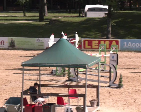 Reitturnier Stadl-Paura 2025