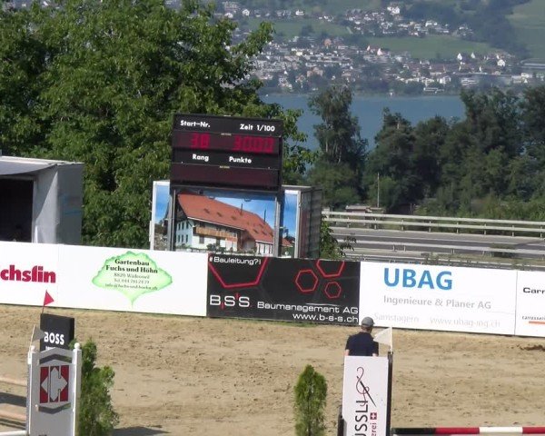 Reitturnier Wädenswil 2025