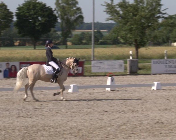 Reitturnier Rot am See- Musdorf 2025