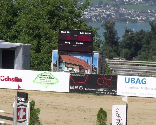 Reitturnier Wädenswil 2025