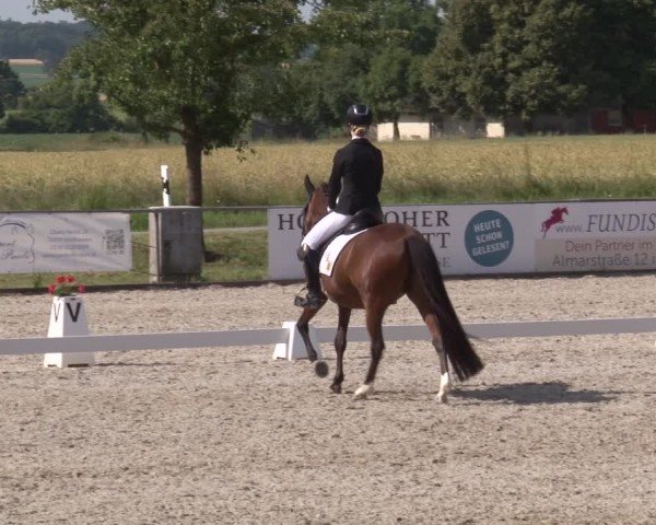 Reitturnier Rot am See- Musdorf 2025