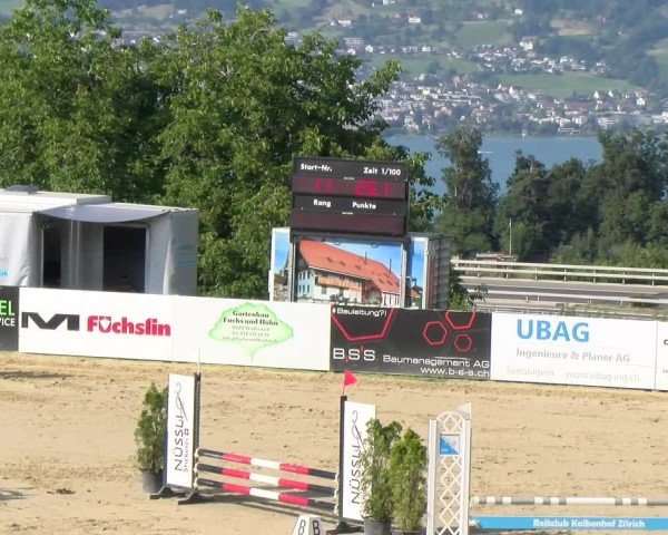 Reitturnier Wädenswil 2025