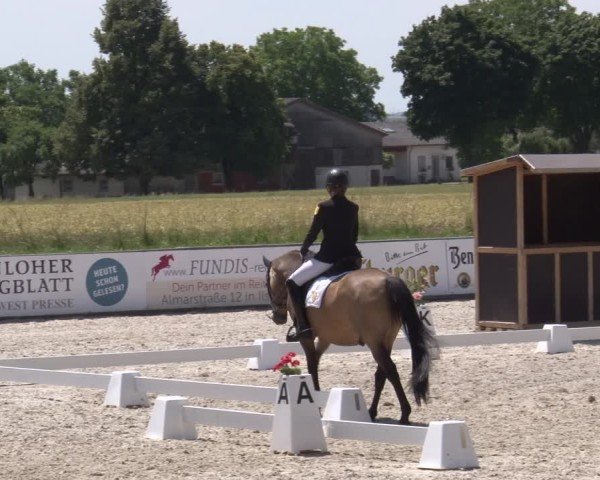 Reitturnier Rot am See- Musdorf 2025