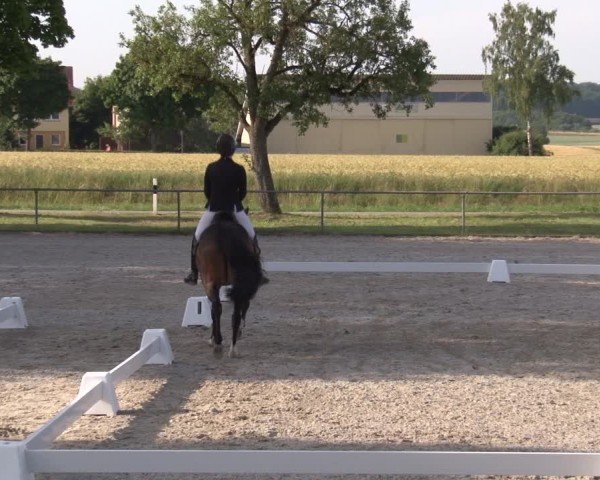 Reitturnier Rot am See- Musdorf 2025