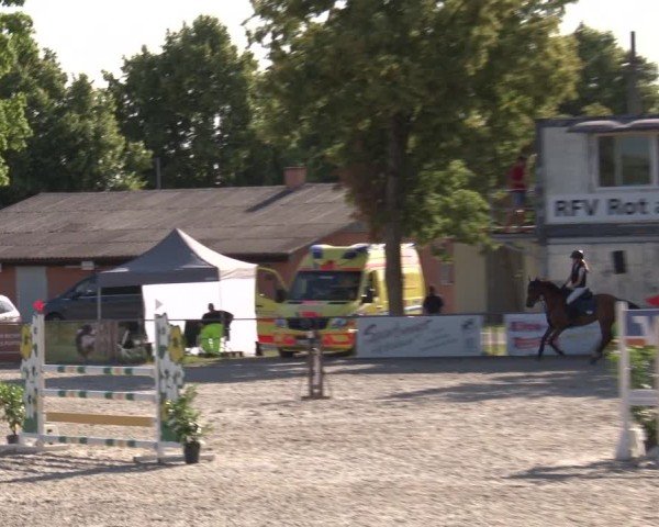 Reitturnier Rot am See- Musdorf 2025
