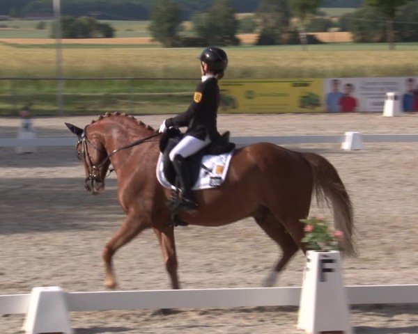 Reitturnier Rot am See- Musdorf 2025
