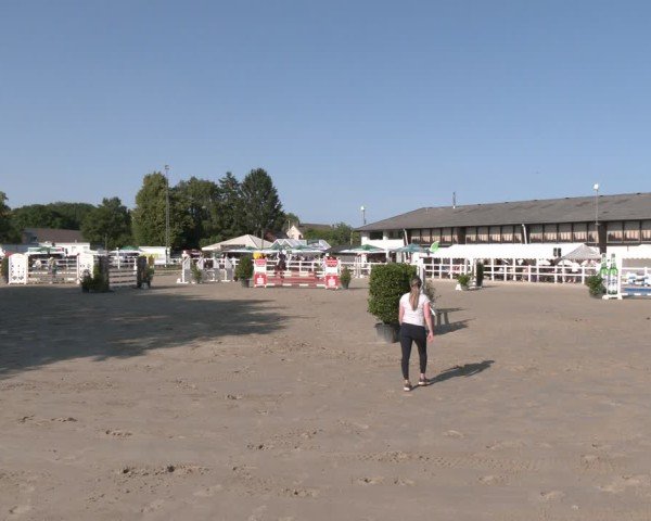 Reitturnier Dortmund-Somborn 2025