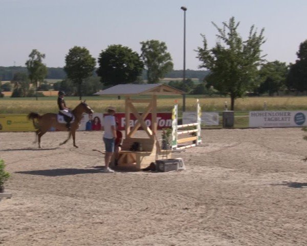 Reitturnier Rot am See- Musdorf 2025