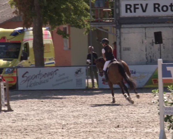 Reitturnier Rot am See- Musdorf 2025