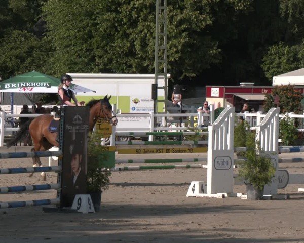 Reitturnier Dortmund-Somborn 2025