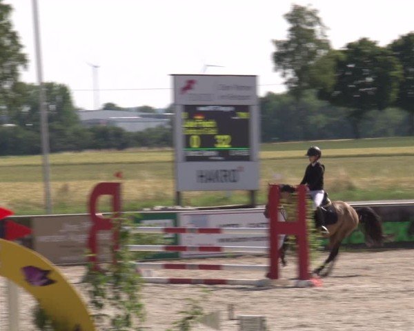 Reitturnier Rot am See- Musdorf 2025