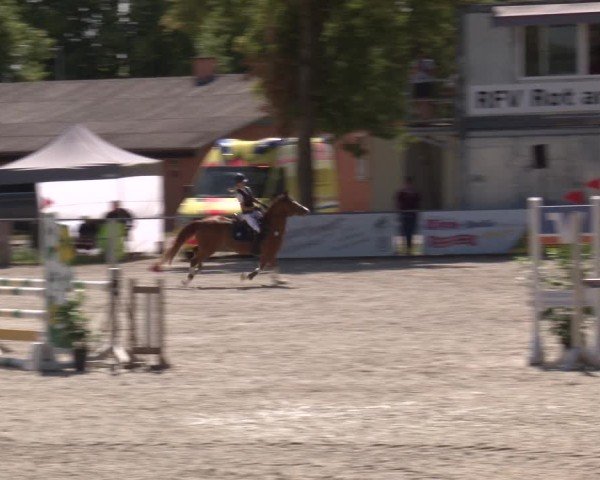 Reitturnier Rot am See- Musdorf 2025