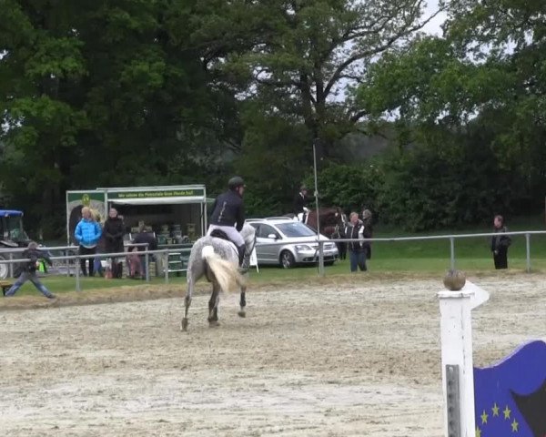 Coesfelder Reitertage 2014