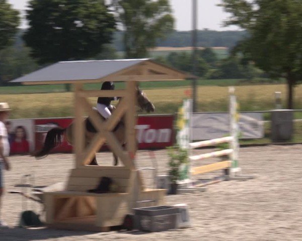 Reitturnier Rot am See- Musdorf 2025