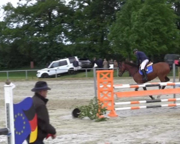 Coesfelder Reitertage 2014