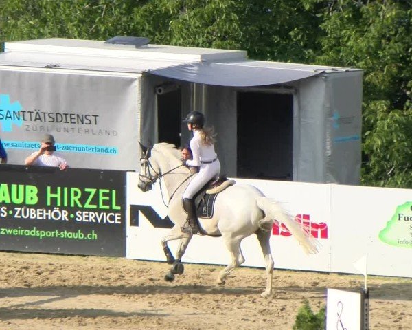Reitturnier Wädenswil 2025