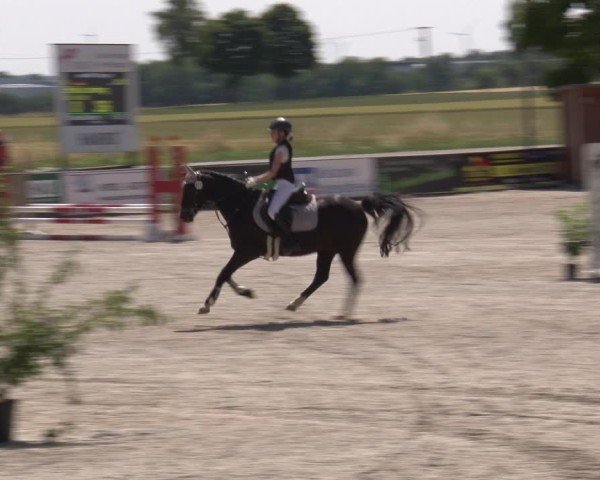 Reitturnier Rot am See- Musdorf 2025