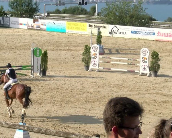 Reitturnier Wädenswil 2025