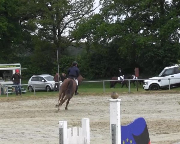 Coesfelder Reitertage 2014