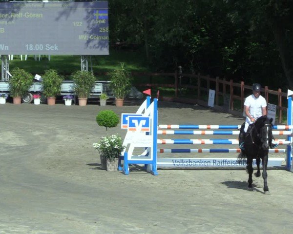 Reitturnier Breitenburg 2025