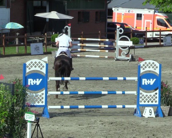 Reitturnier Breitenburg 2025