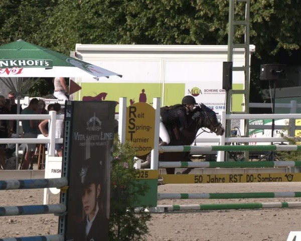 Reitturnier Dortmund-Somborn 2025