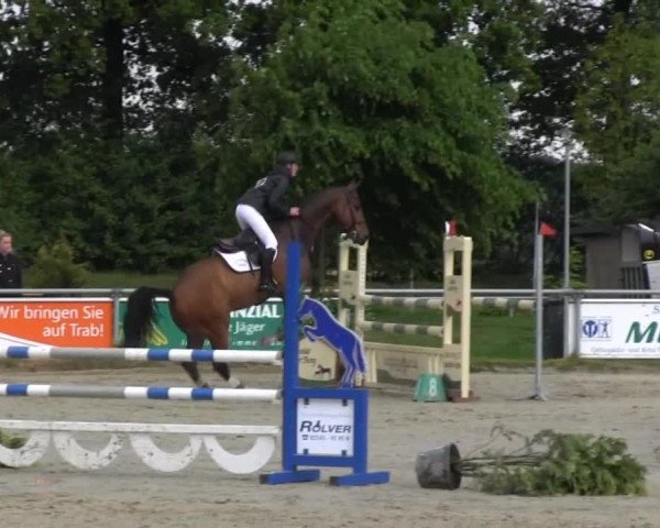 Coesfelder Reitertage 2014
