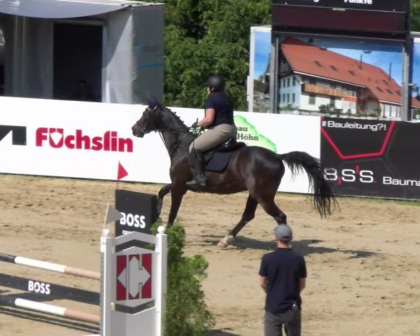 Reitturnier Wädenswil 2025