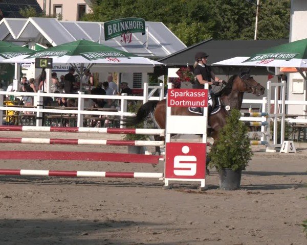 Reitturnier Dortmund-Somborn 2025