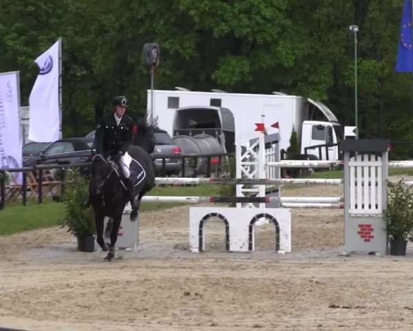Dressur- und Springturnier Halver 2014