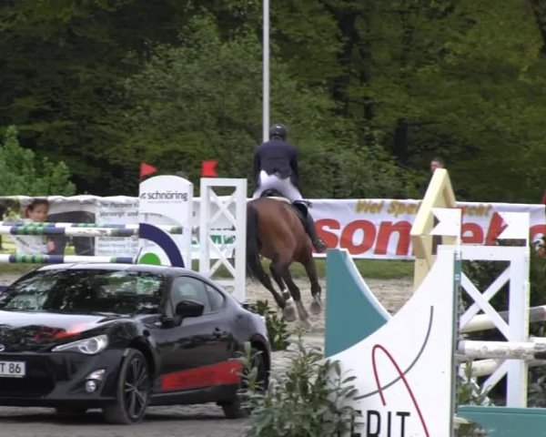 Dressur- und Springturnier Halver 2014