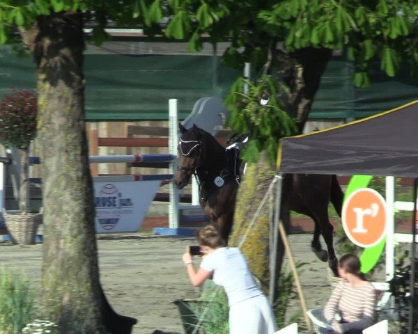 Reitturnier Breitenburg 2025